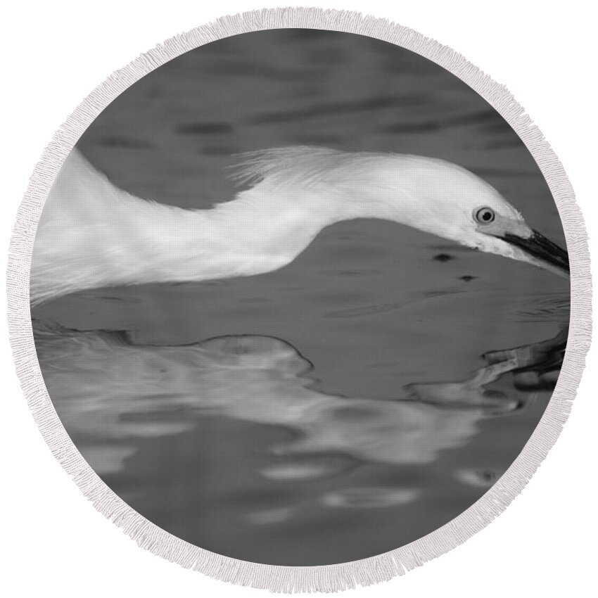 Landscapes Round Beach Towel featuring the photograph Snowy Egret Illuminated by John F Tsumas