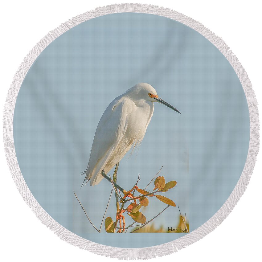 Usa Round Beach Towel featuring the photograph Snowy Egret by Mark Fuge