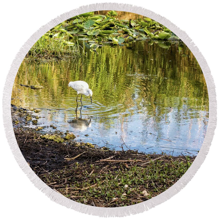 Anhinga Trail Round Beach Towel featuring the photograph Snowy Egret Reflections by Louise Lindsay