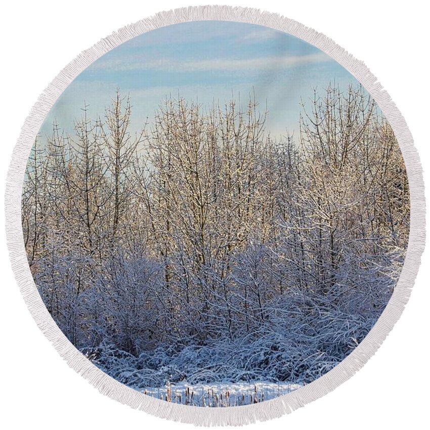 Snow Round Beach Towel featuring the photograph Snowy Morning by Brian Eberly