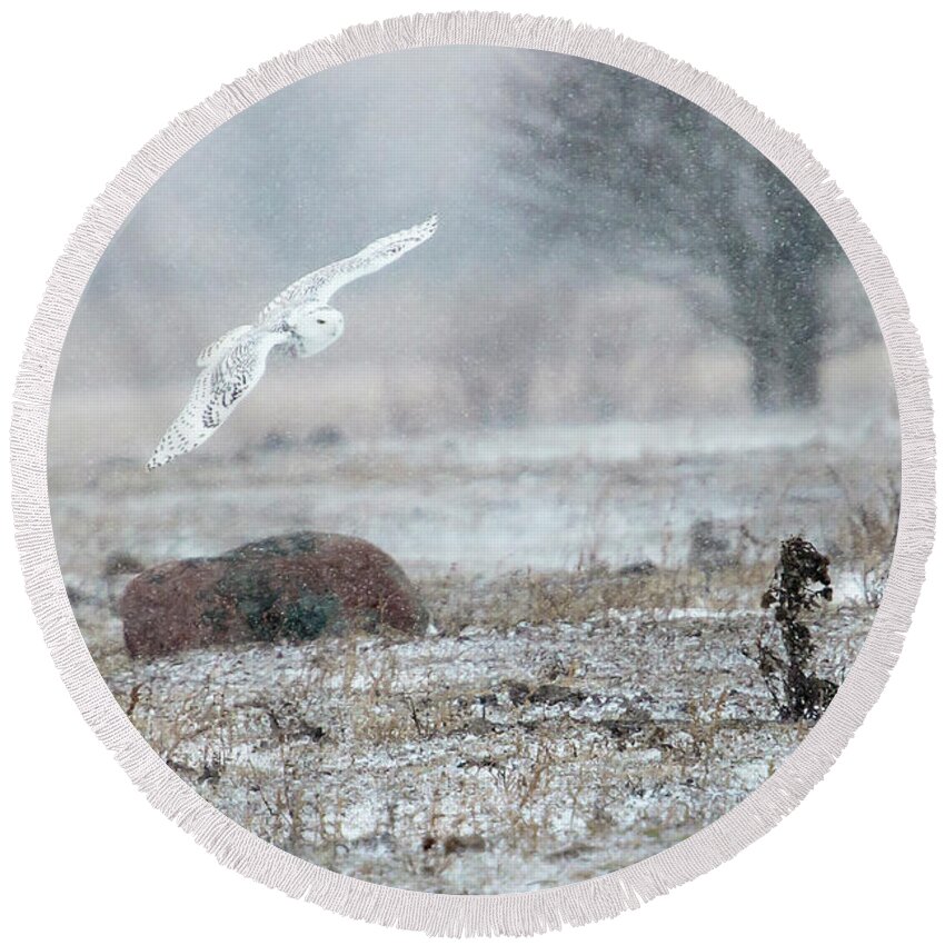 Rural Round Beach Towel featuring the photograph Snowy Owl in Flight 3 by Gary Hall
