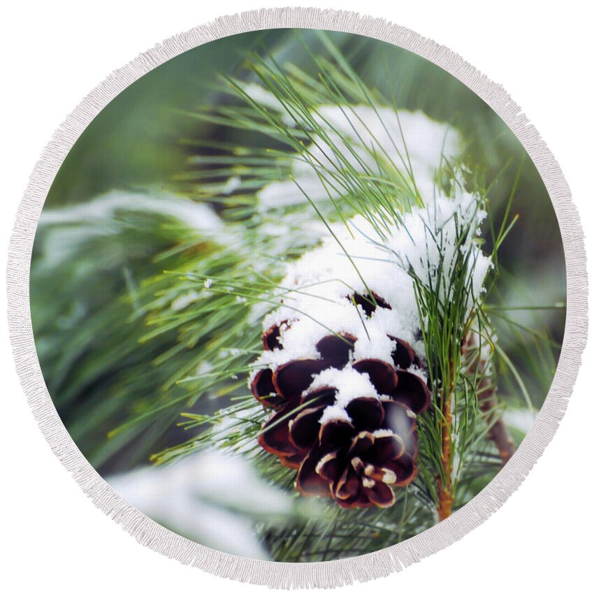 Pine Cone Round Beach Towel featuring the photograph Snowy Pine Cone by Kerri Farley