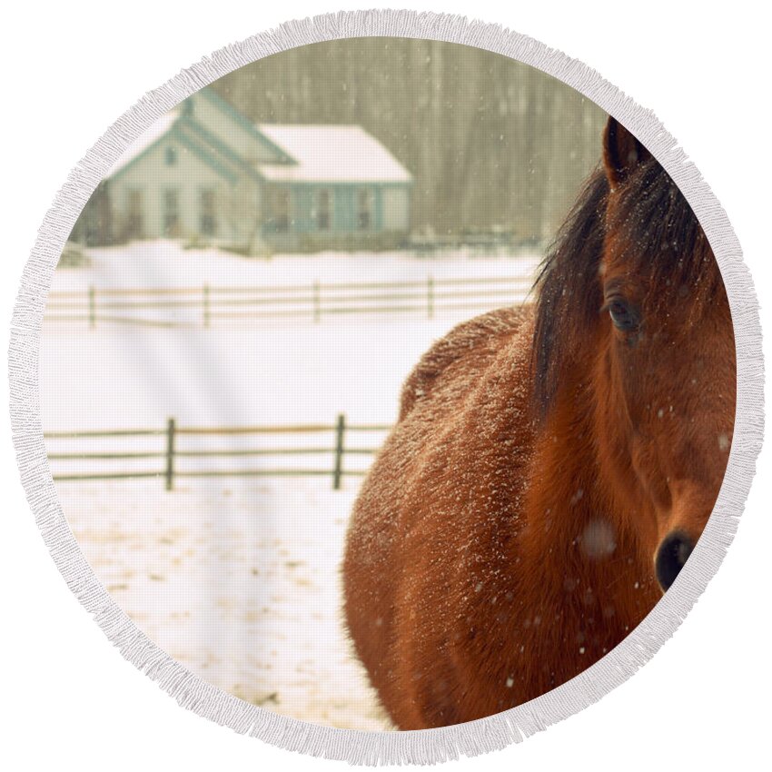 Horse Round Beach Towel featuring the photograph Horse #1 by Marysue Ryan