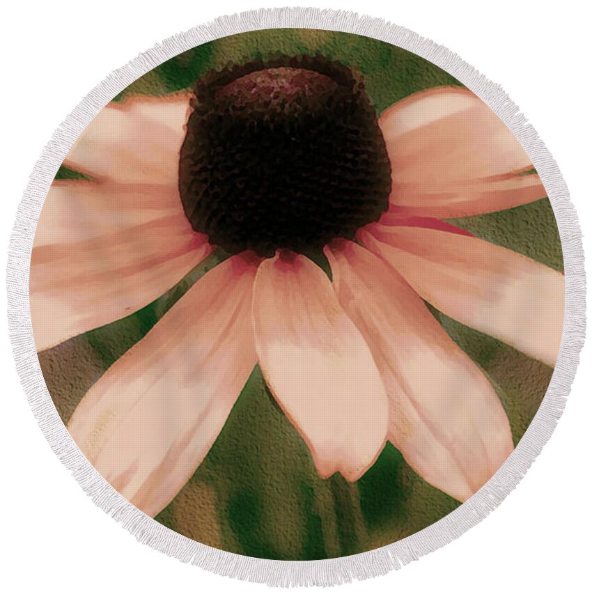 Nature Round Beach Towel featuring the photograph Soft Delicate Pink Daisy by Judy Palkimas