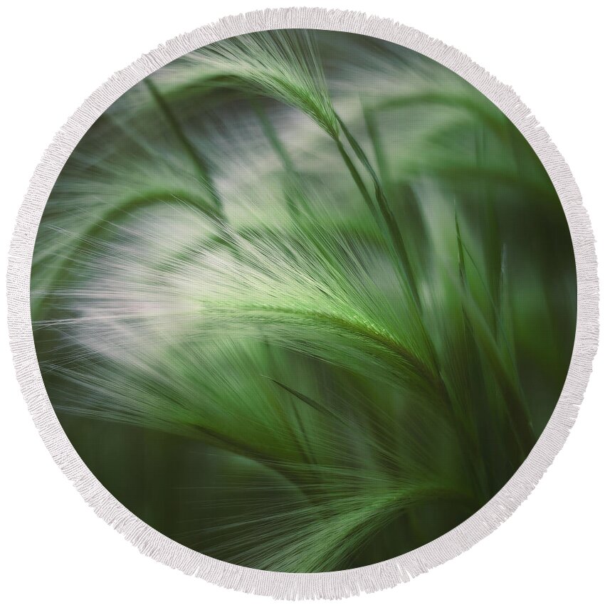 Blade Of Grass Round Beach Towels