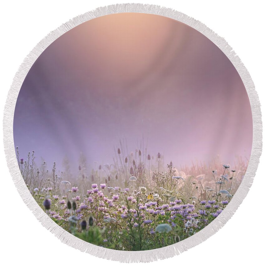 Wildflowers Round Beach Towel featuring the photograph Soft Light by Rob Blair