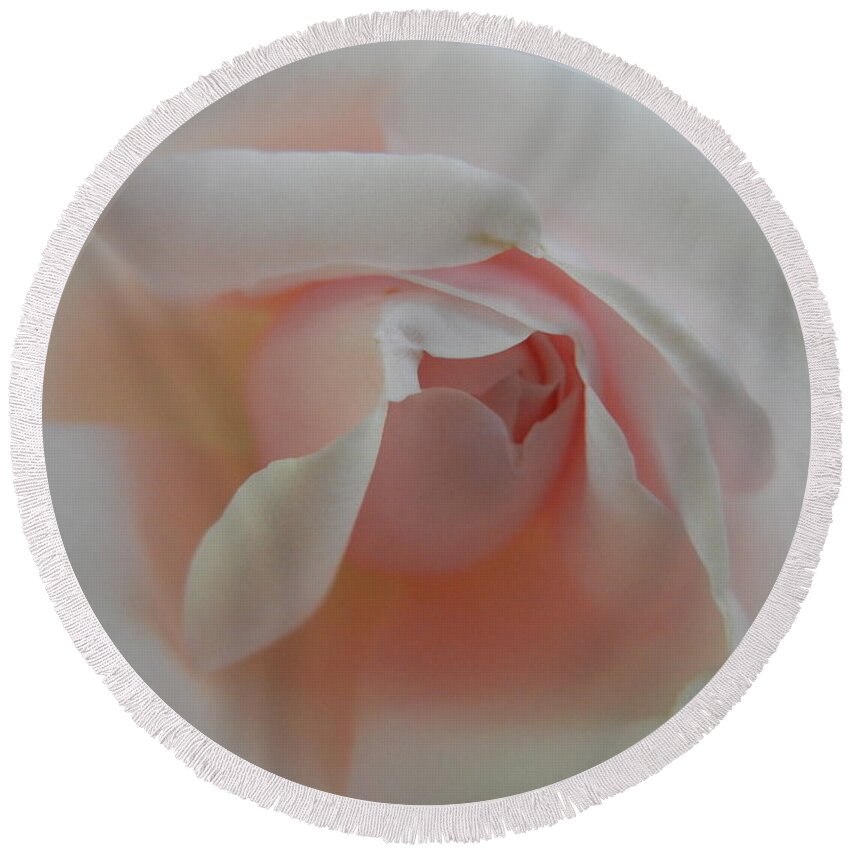Rose Round Beach Towel featuring the photograph Soft pink rose by Jim And Emily Bush