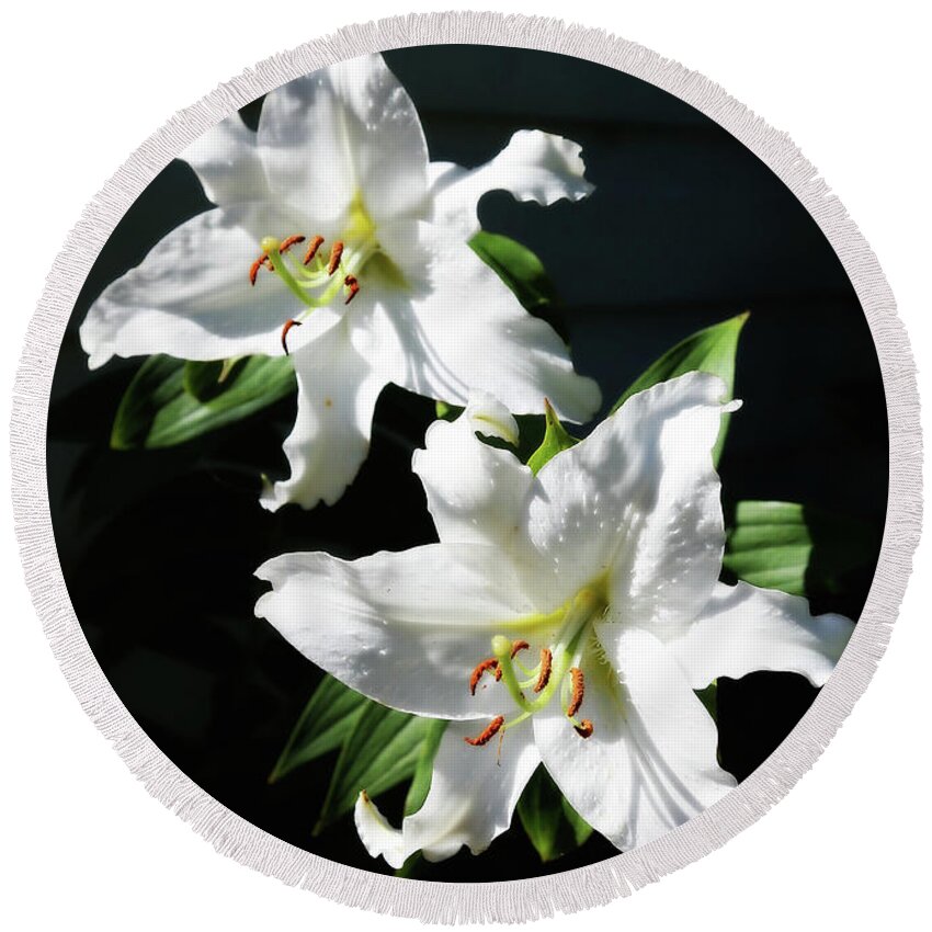 White Lilies Round Beach Towel featuring the photograph Soft White Lilies by Carol Groenen