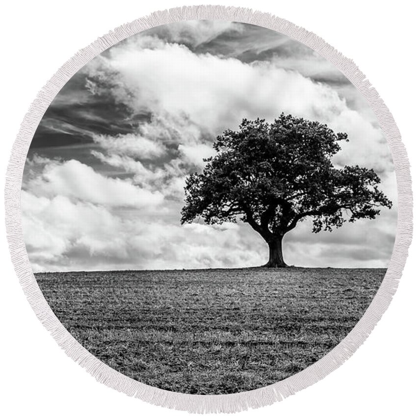 Oak Round Beach Towel featuring the photograph Majestic Oak by Nick Bywater