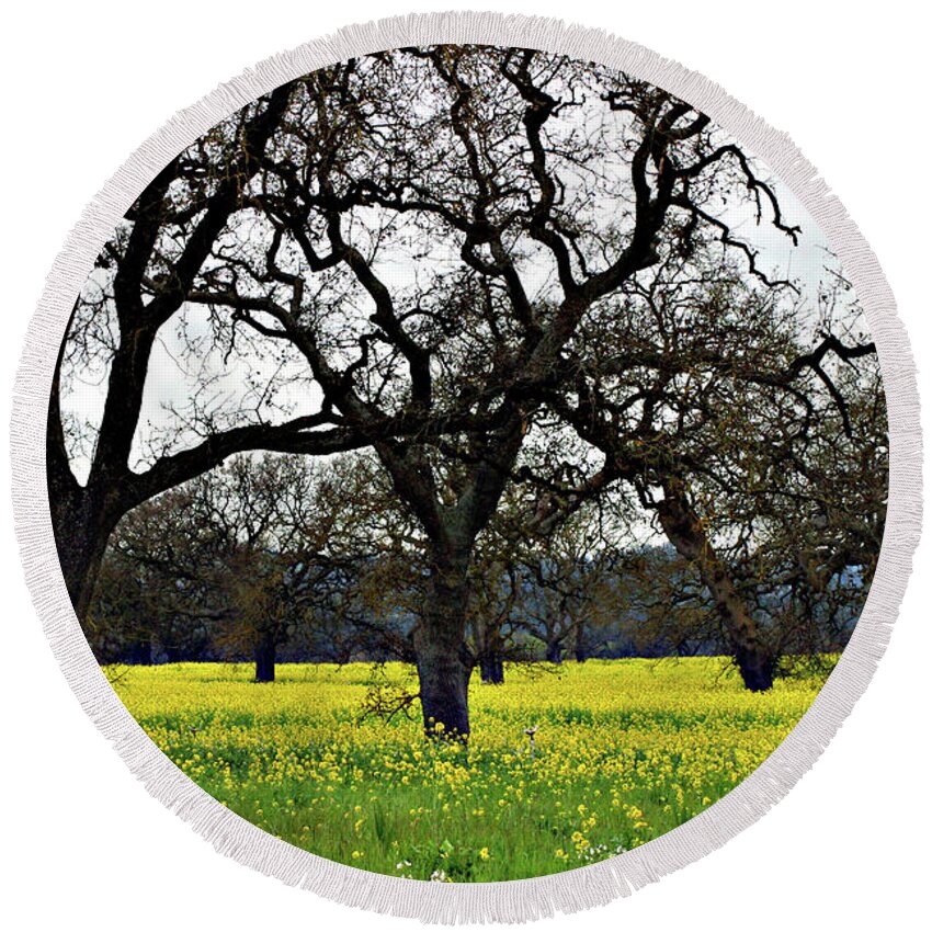 Sonoma County Round Beach Towel featuring the photograph Sonoma County Mustard Field by Eileen Gayle