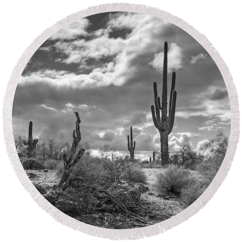 Sonoran Desert Round Beach Towel featuring the photograph Sonoran Desert in Black and White by Saija Lehtonen