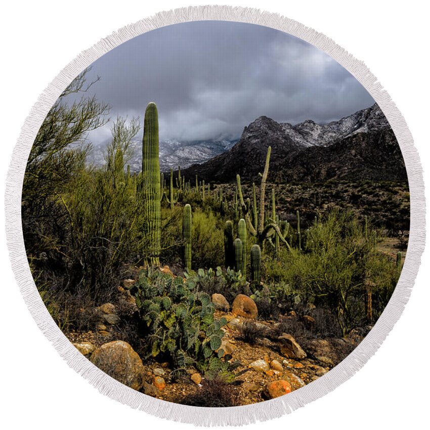 Acrylic Prints Round Beach Towel featuring the photograph Sonoran Winter No.1 by Mark Myhaver
