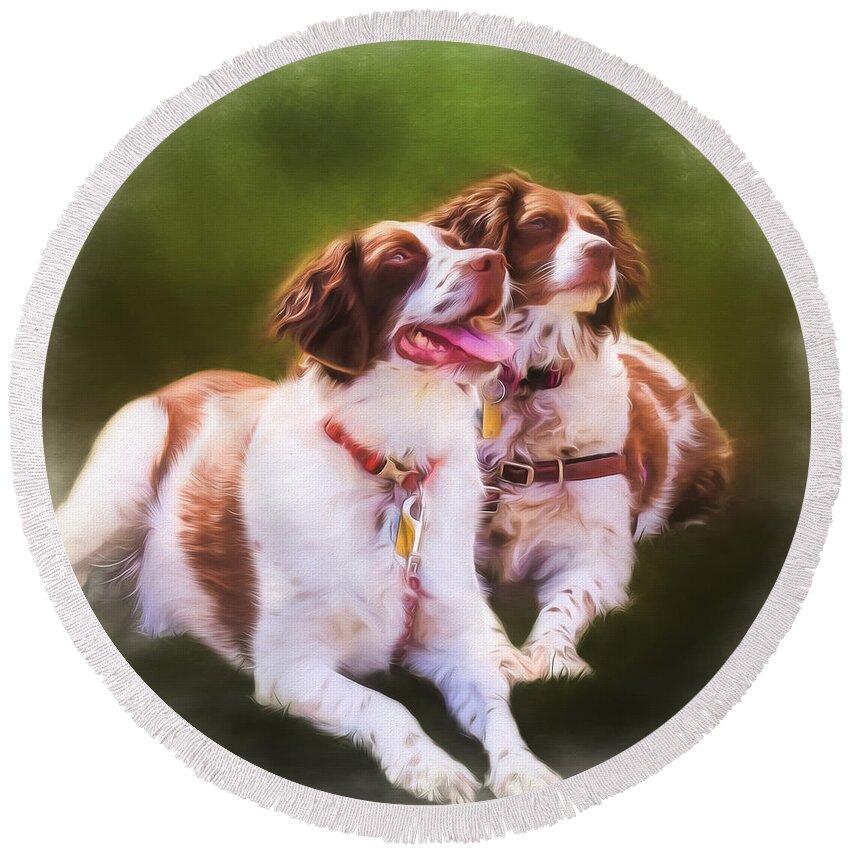 Spaniels Round Beach Towel featuring the photograph Spaniels by Eleanor Abramson