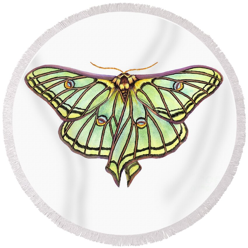 Spanish Moon Moth Round Beach Towel featuring the painting Spanish Moon Moth by Lucy Arnold