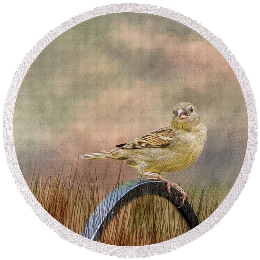 Sparrow Round Beach Towel featuring the photograph Sparrow in the Grass by Cathy Kovarik