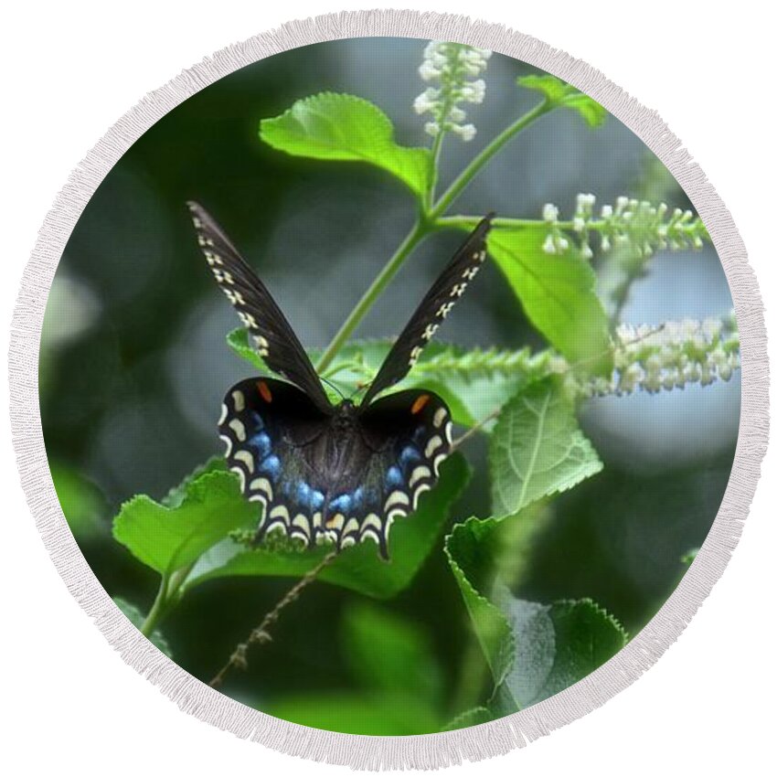 Butterfly Round Beach Towel featuring the photograph Spicebush Swallowtail on Sweet Almond Flower by Carol Bradley