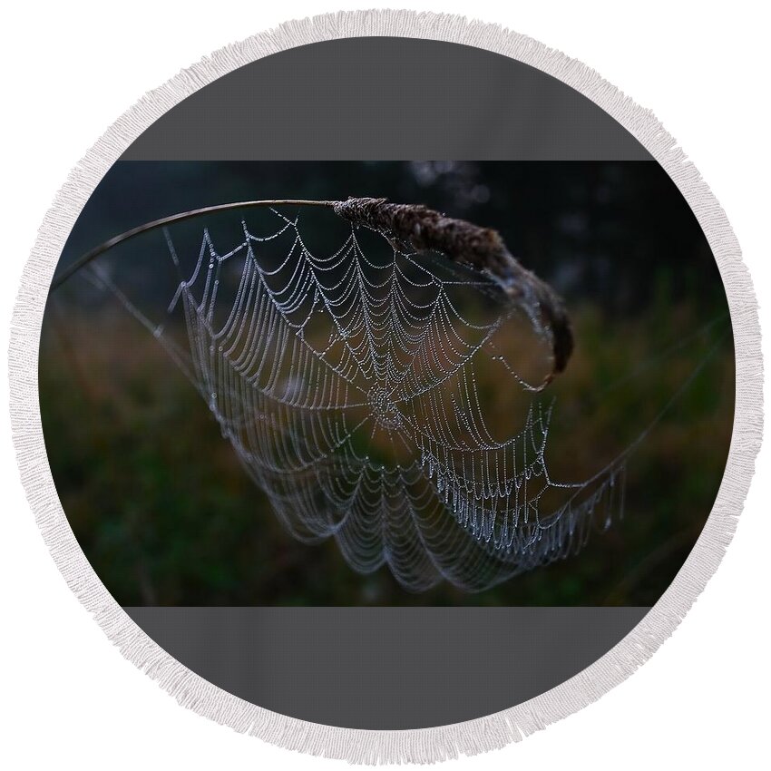Spider Web Round Beach Towel featuring the digital art Spider Web by Maye Loeser