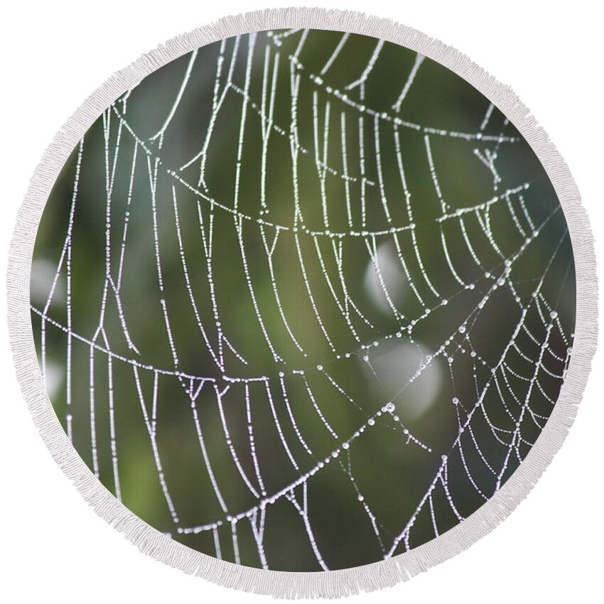 Spider Web Round Beach Towel featuring the photograph Spider Web with Bokeh by Carol Groenen