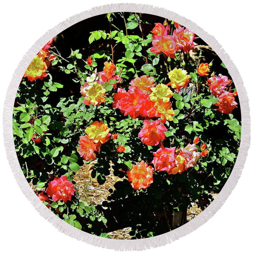 Flowers Round Beach Towel featuring the photograph Spreading Cheer by Diana Hatcher