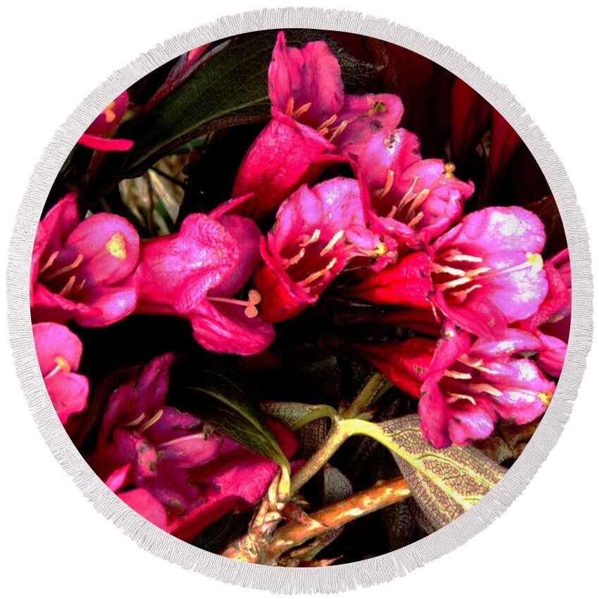 Perennial Red Shrub Pink Foliage Garden Spring Bouquet Colorful Vibrant Vivid Round Beach Towel featuring the digital art Spring Bouquet by Leon DeVose