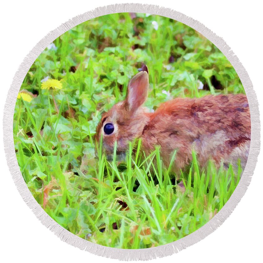 Bunny Round Beach Towel featuring the photograph Spring Bunny by Kerri Farley