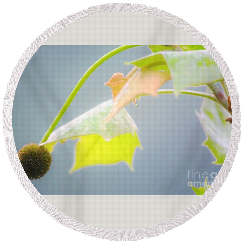 Leaves Round Beach Towel featuring the photograph Spring color by Merle Grenz