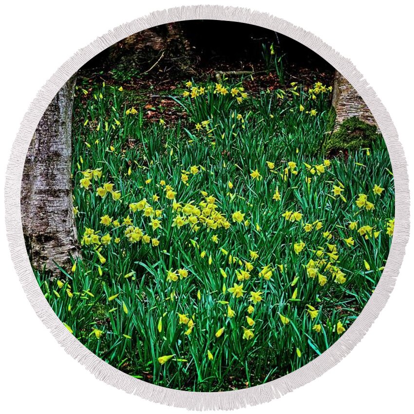 Flowers Round Beach Towel featuring the photograph Spring Daffoldils by Martyn Arnold