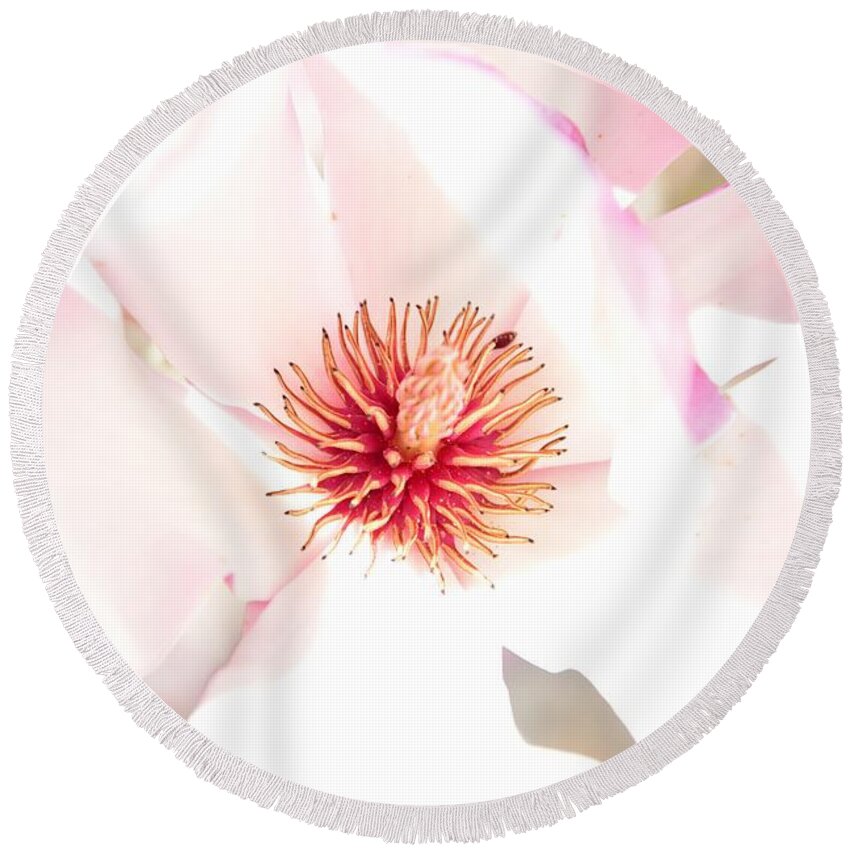 Aroma Round Beach Towel featuring the photograph Spring Flower Blossoms by Serena King