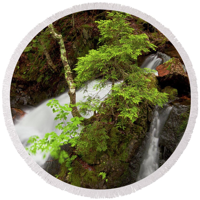 Waterfalls Round Beach Towel featuring the photograph Spring Greens And Waterfalls #2 by Irwin Barrett