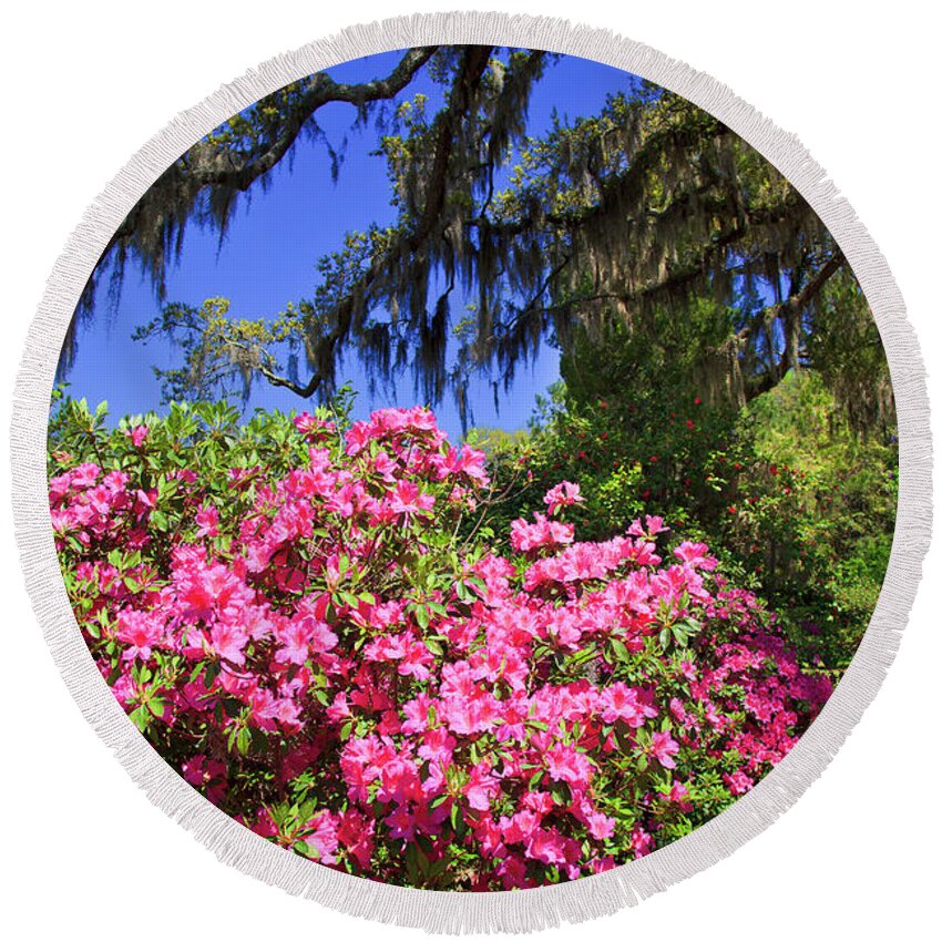 Pink Round Beach Towel featuring the photograph Spring in the South by Jill Lang