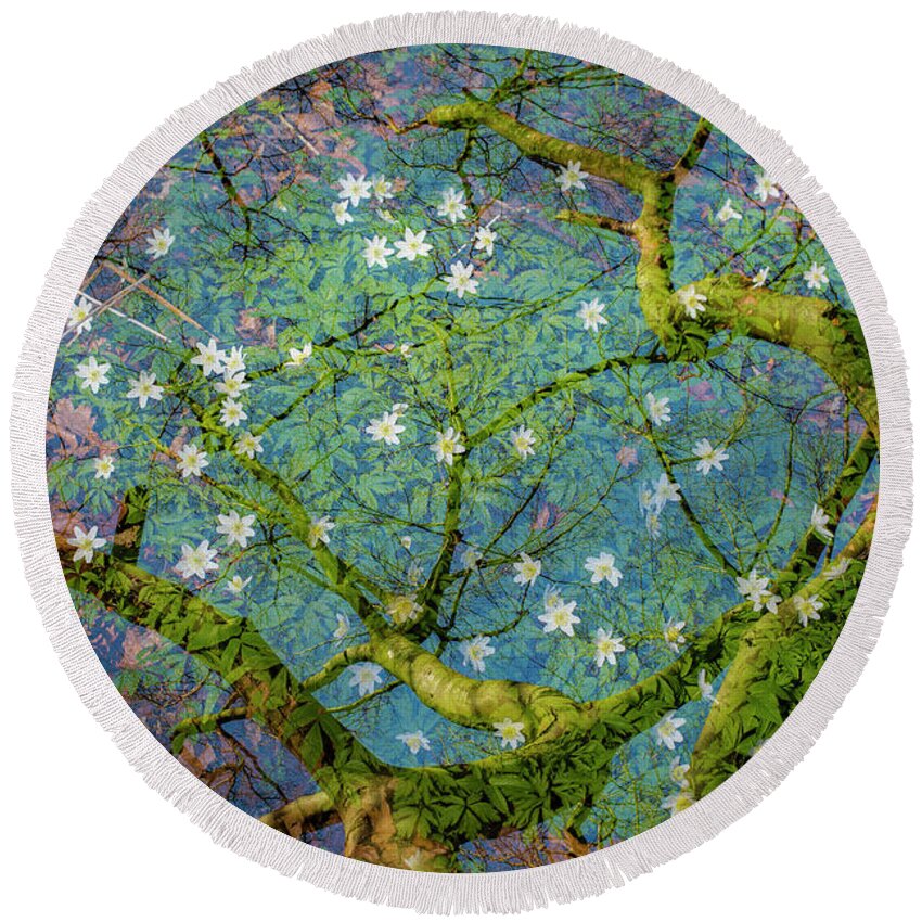 Magic Forest Round Beach Towel featuring the photograph Spring is in the air-1 by Casper Cammeraat