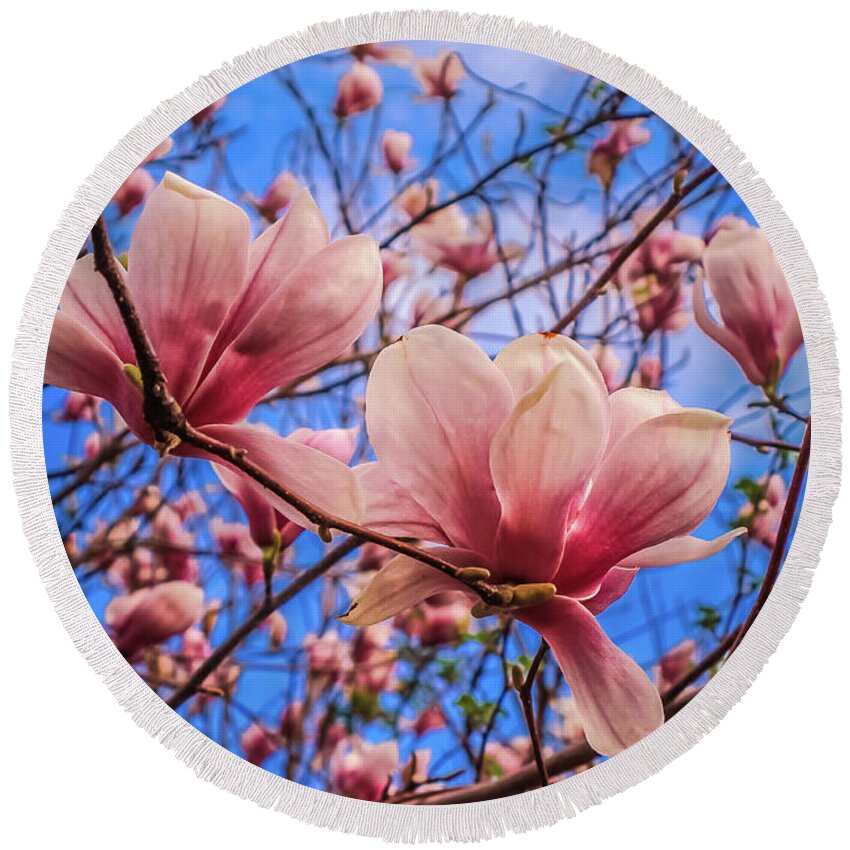 Spring Floral Round Beach Towel featuring the photograph Spring memories by Claudia M Photography