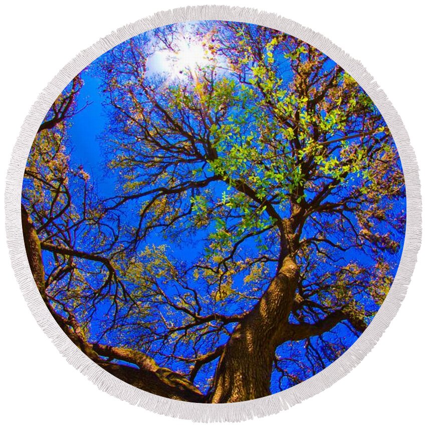 Michael Tidwell Photography Round Beach Towel featuring the photograph Spring Oak by Michael Tidwell
