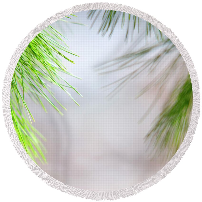 Tree Round Beach Towel featuring the photograph Spring Pine Abstract by Christina Rollo