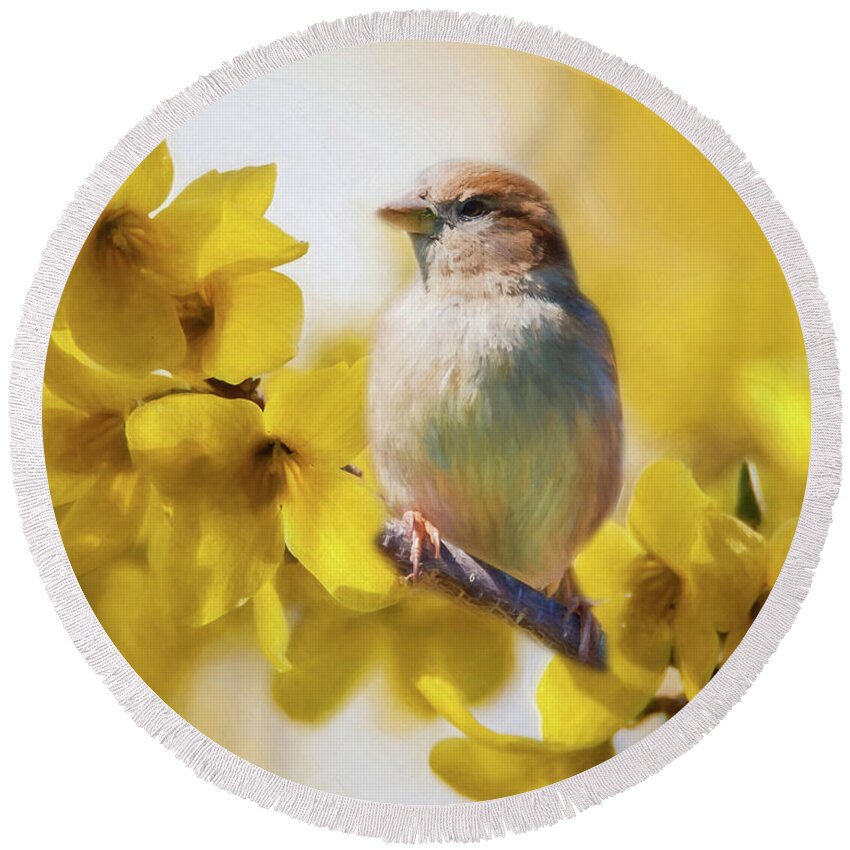 Forsythia Round Beach Towel featuring the photograph Spring Sparrow by Cathy Kovarik