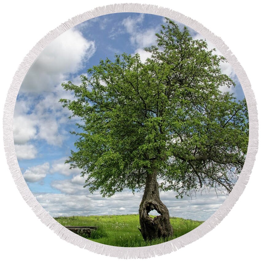 Tree Round Beach Towel featuring the photograph Spring Tree by Donna Doherty