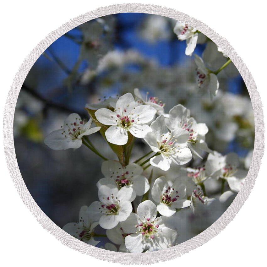 Horizontal Photo Round Beach Towel featuring the photograph Springtime Cherry Blossoms by Valerie Collins