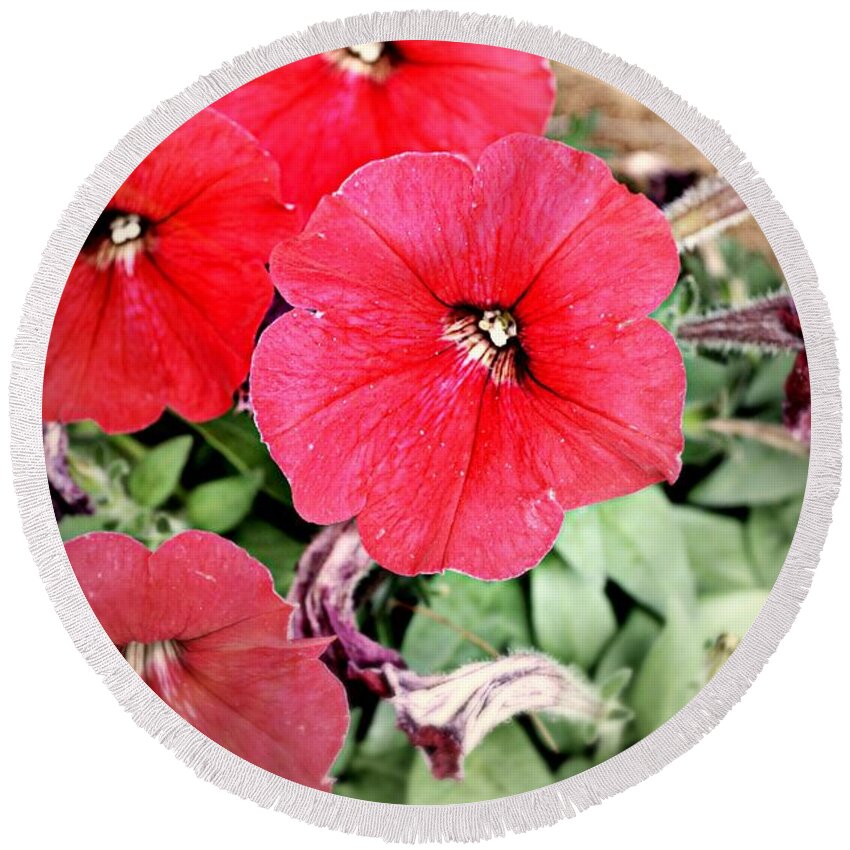 Flowers Round Beach Towel featuring the photograph Sprung Spring by Ally White