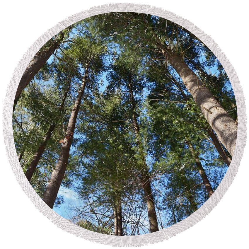 Trees Round Beach Towel featuring the photograph Squirrels Highway by Dani McEvoy