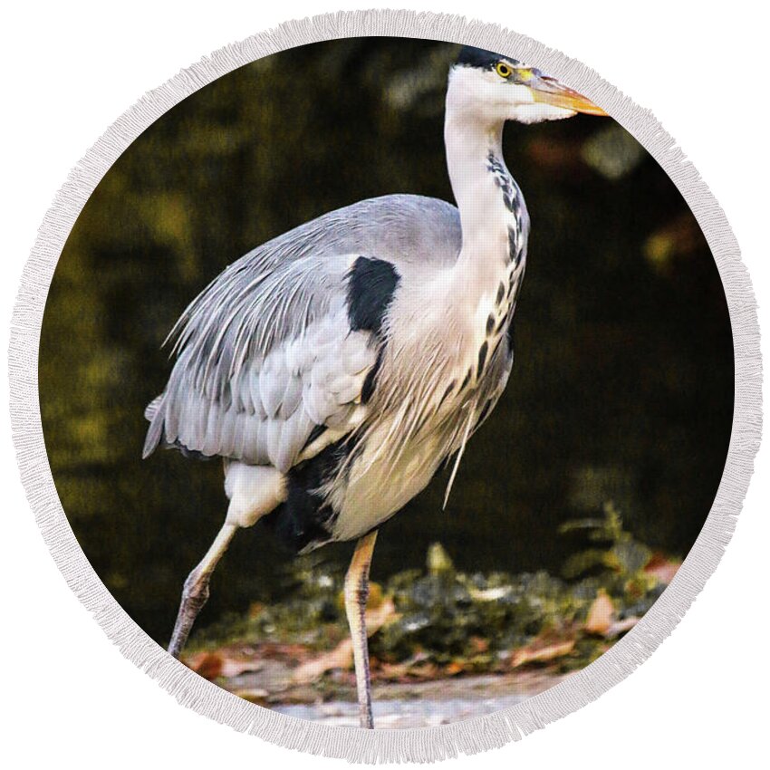Heron Round Beach Towel featuring the photograph St James Park Heron by Veronica Batterson