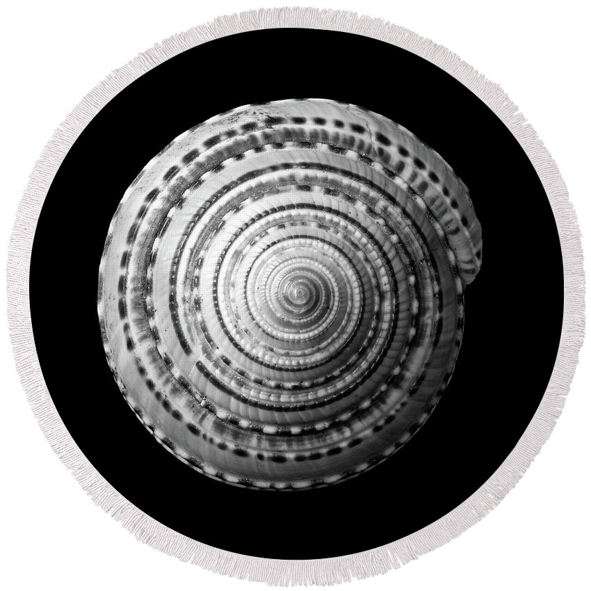 Sea Shell Round Beach Towel featuring the photograph Staircase or Sundial shell in black and white by Jim Hughes