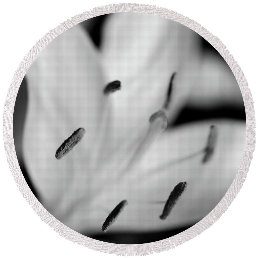 Stamens Monochrome Flower Round Beach Towel featuring the photograph Stamens by Ian Sanders