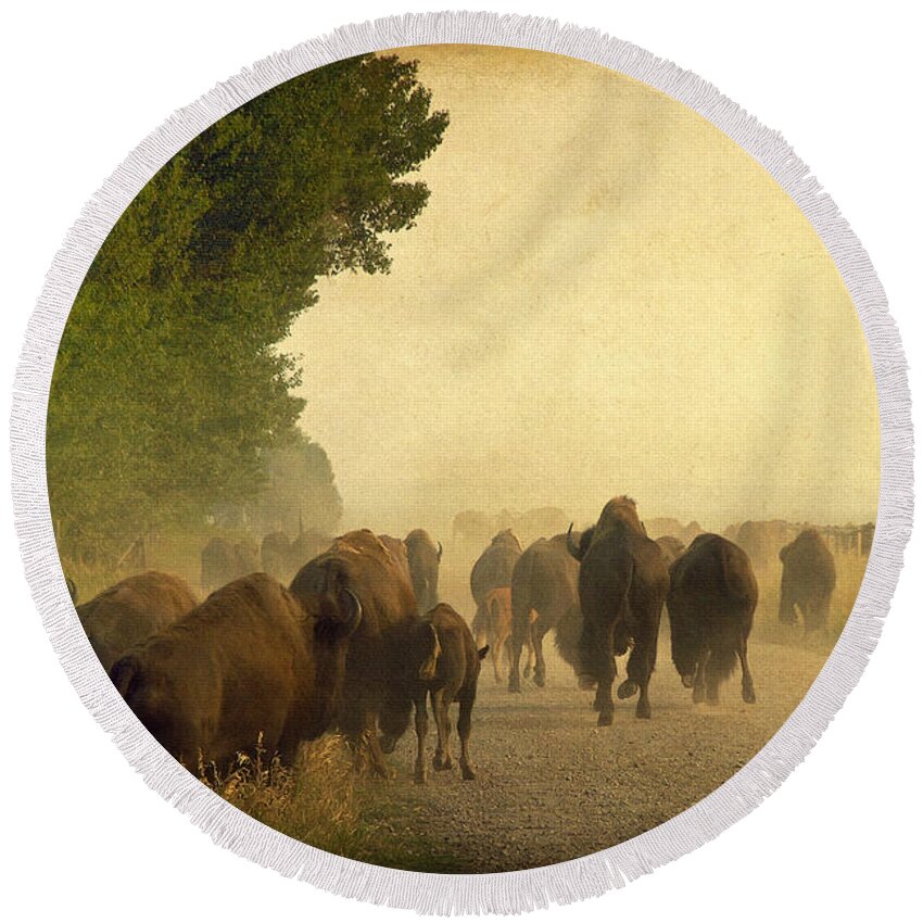 Bison Round Beach Towel featuring the photograph Stampede by Teresa Zieba