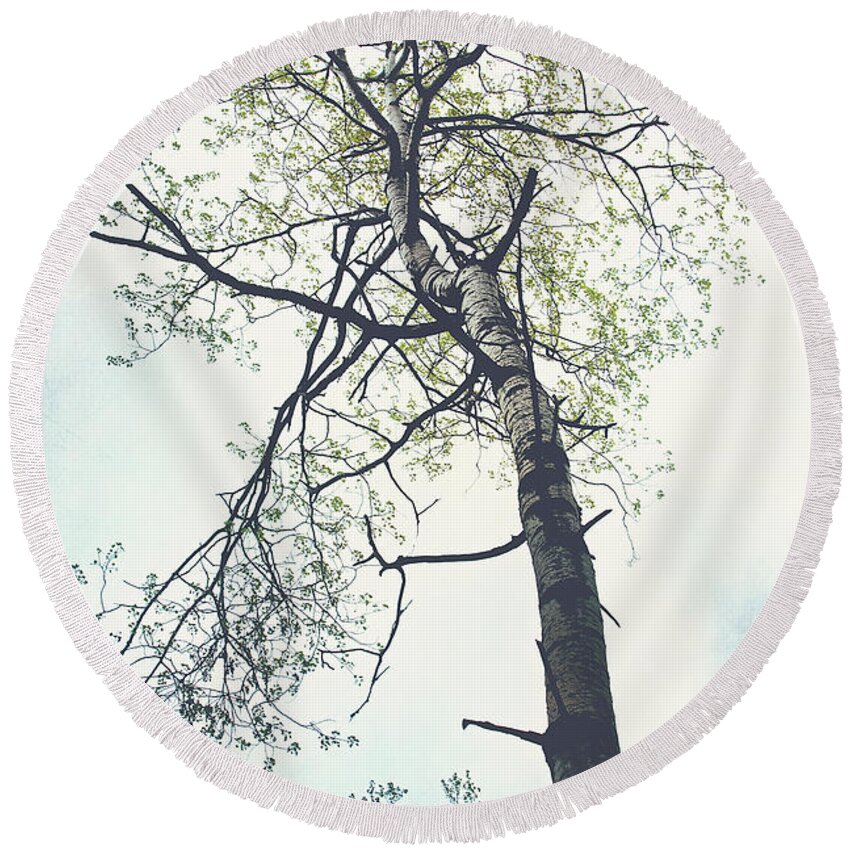 Tall Tree Print Round Beach Towel featuring the photograph Standing Glory Tree Print by Gwen Gibson