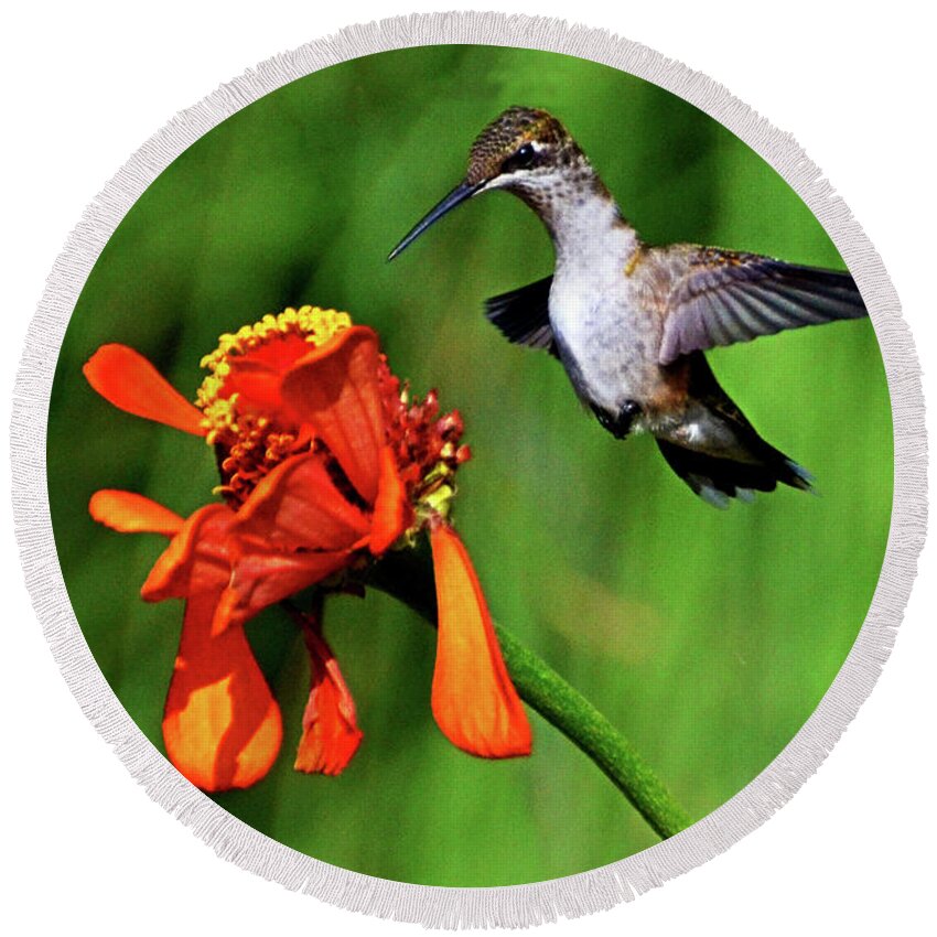 Bird Round Beach Towel featuring the photograph Standing In Motion - Hummingbird In Flight 013 by George Bostian