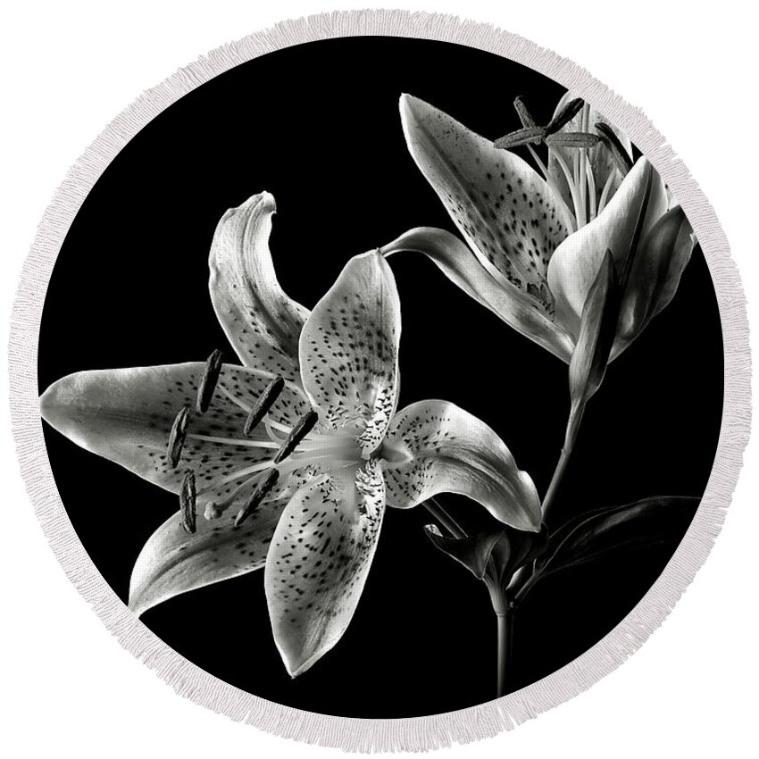 Flower Round Beach Towel featuring the photograph Stargazer Lily in Black and White by Endre Balogh