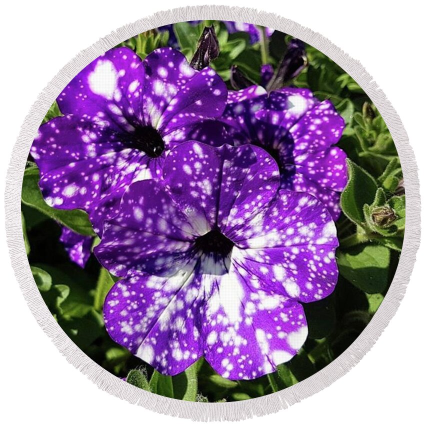 Garden Round Beach Towel featuring the photograph Starry Petunias... by Rowena Tutty