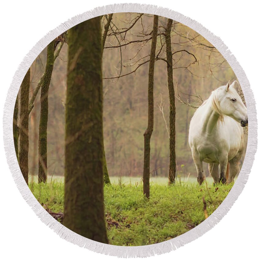 Missouri Wild Horses Round Beach Towel featuring the photograph Stepping into the Wild by Holly Ross