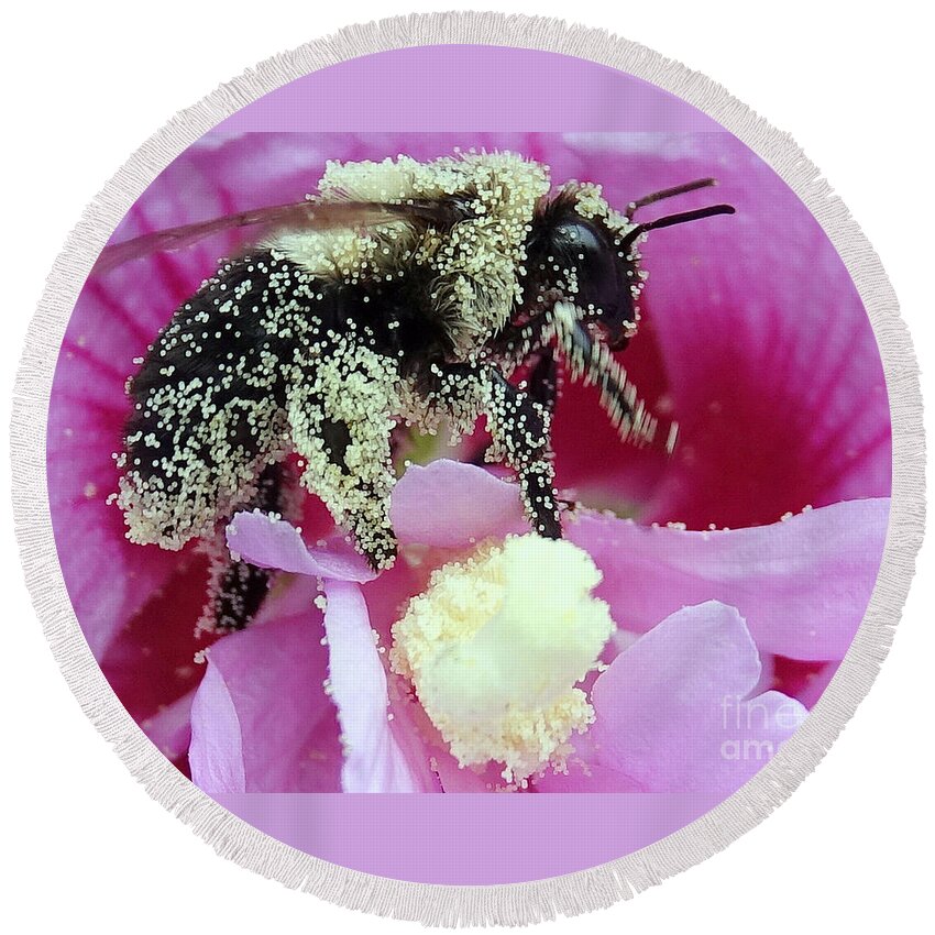 Bee Round Beach Towel featuring the photograph Too Much Of A Good Thing by Lori Lafargue