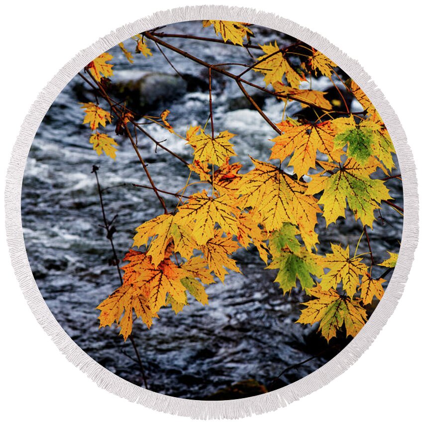 Landscape Round Beach Towel featuring the photograph Stream in Fall by Joe Shrader